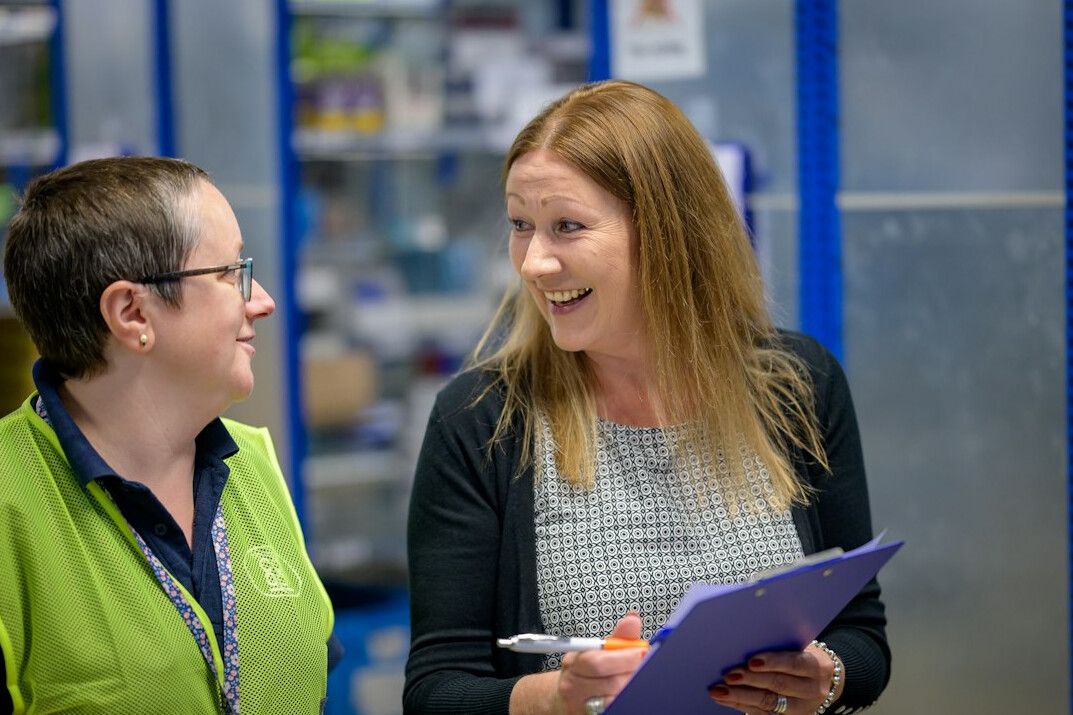 mentor guiding employee